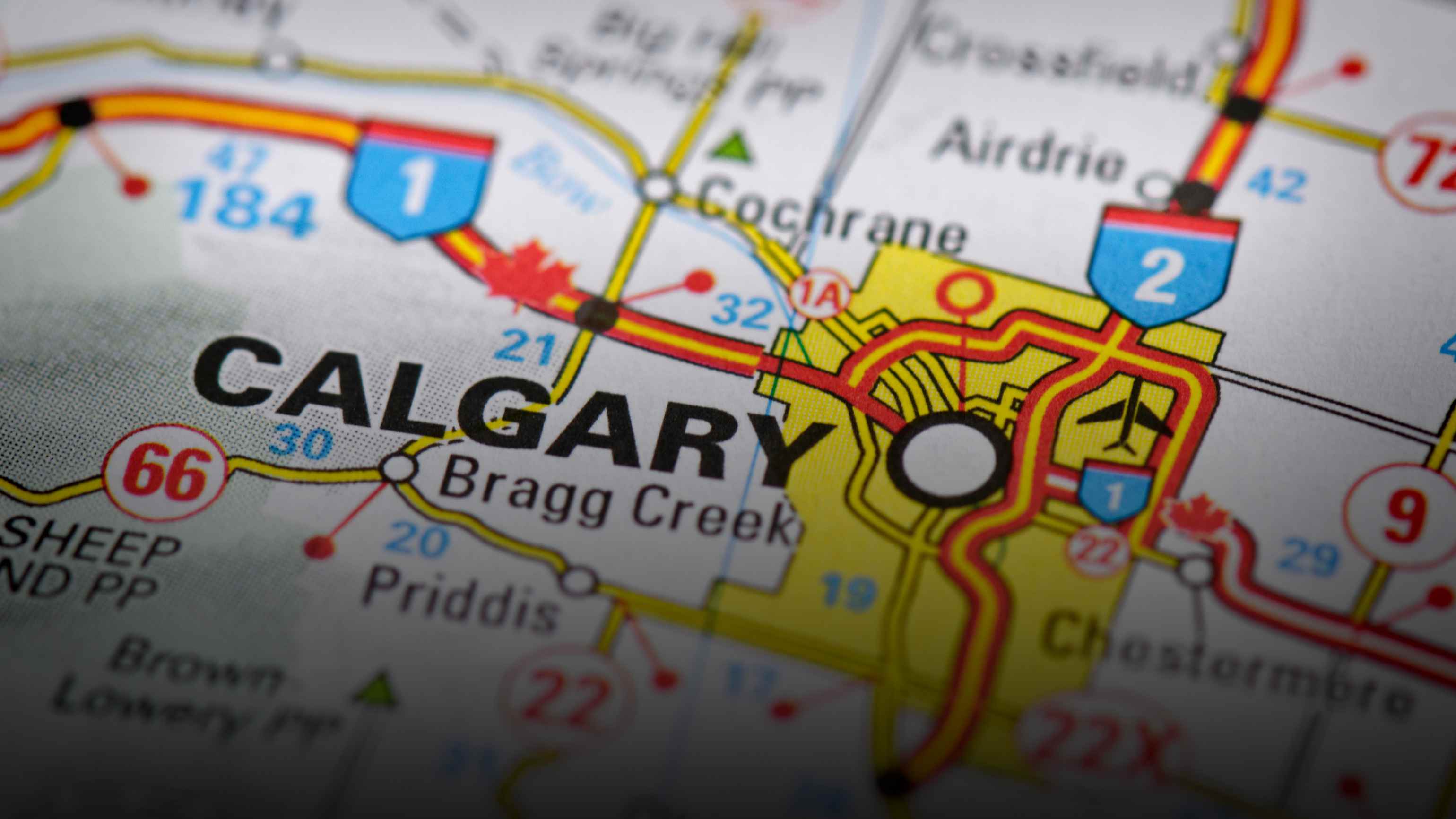 Calgary matchmaking service 