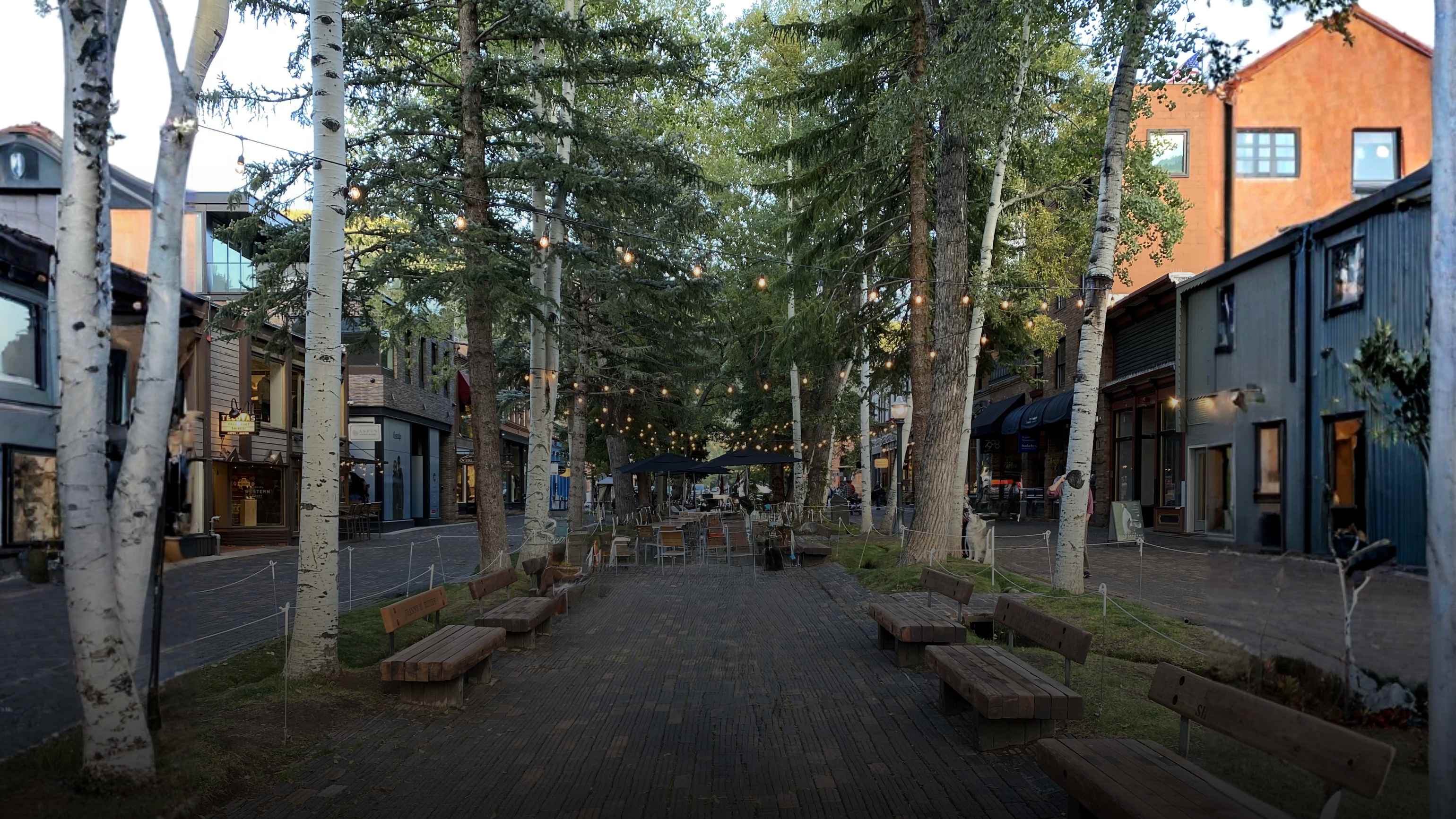 best aspen matchmaking service 