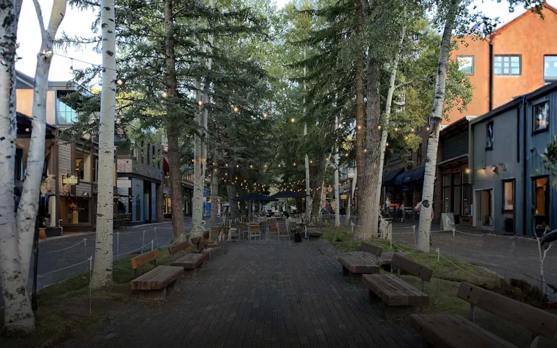 best aspen matchmaking service