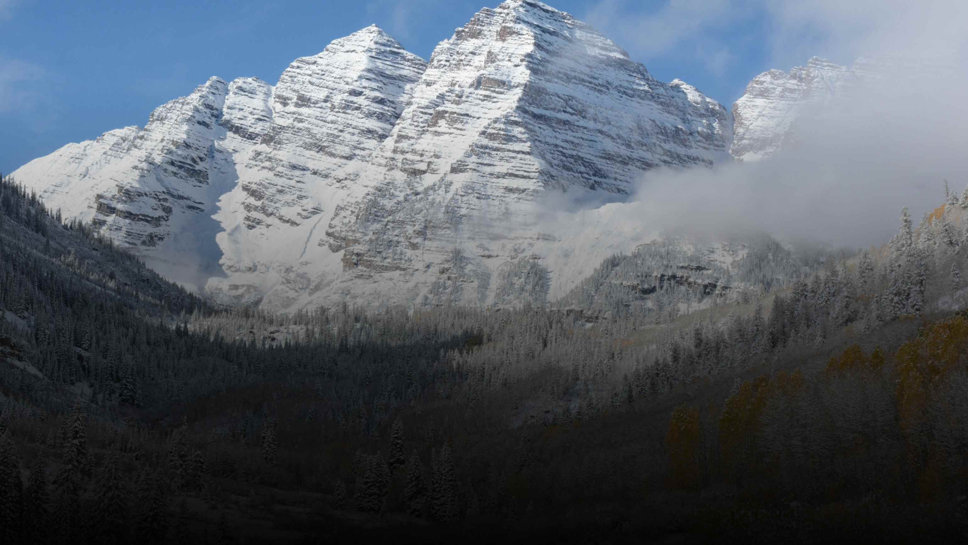 best aspen matchmaking service 