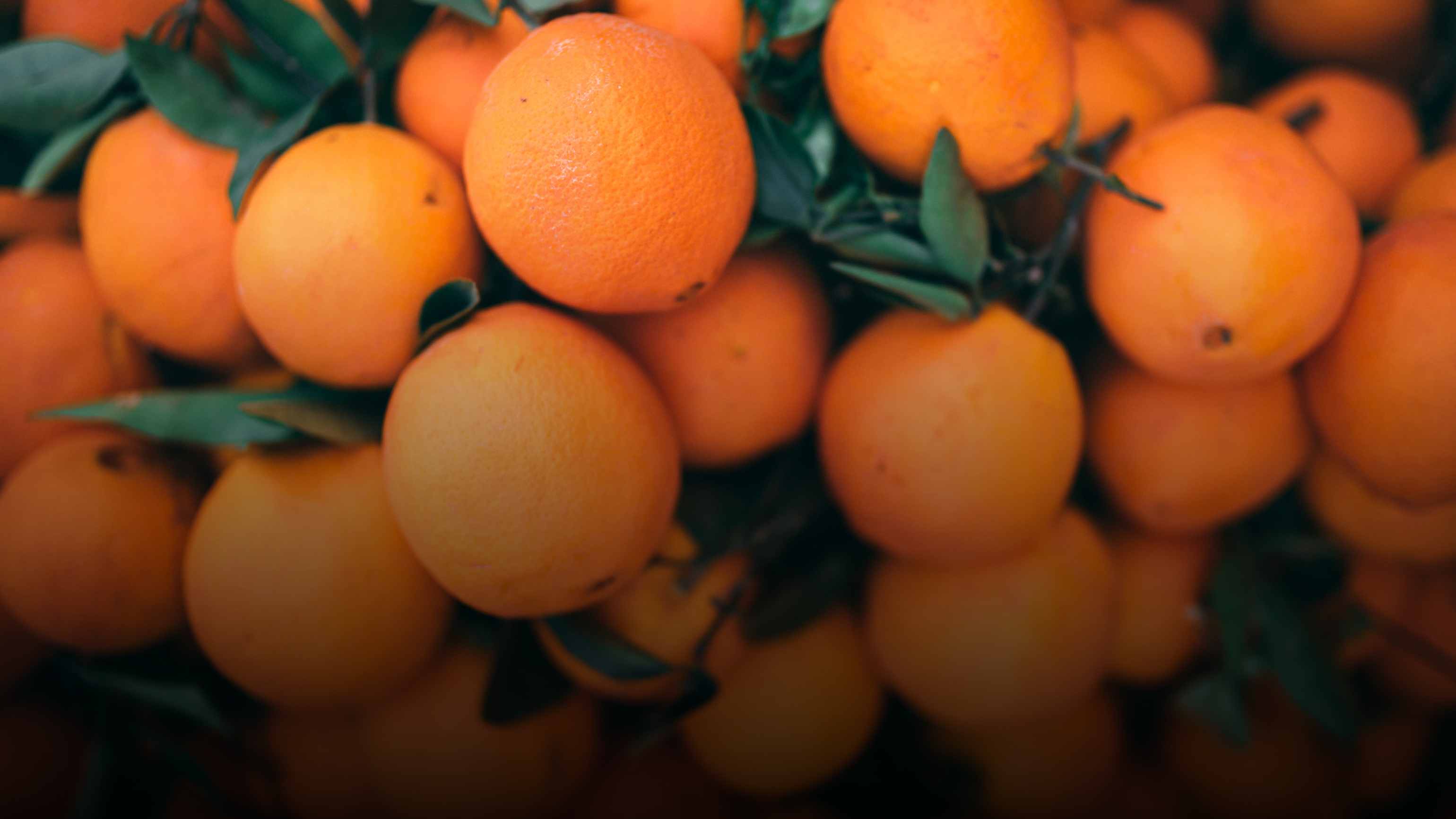 Orange County matchmaking