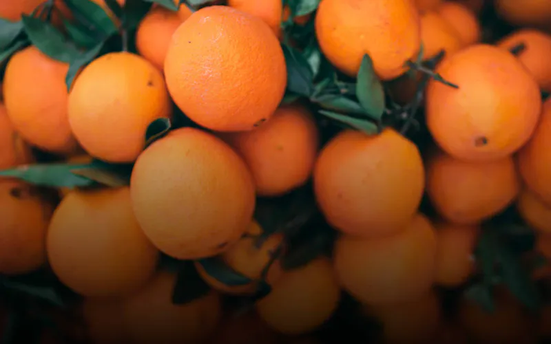 Orange County matchmaking