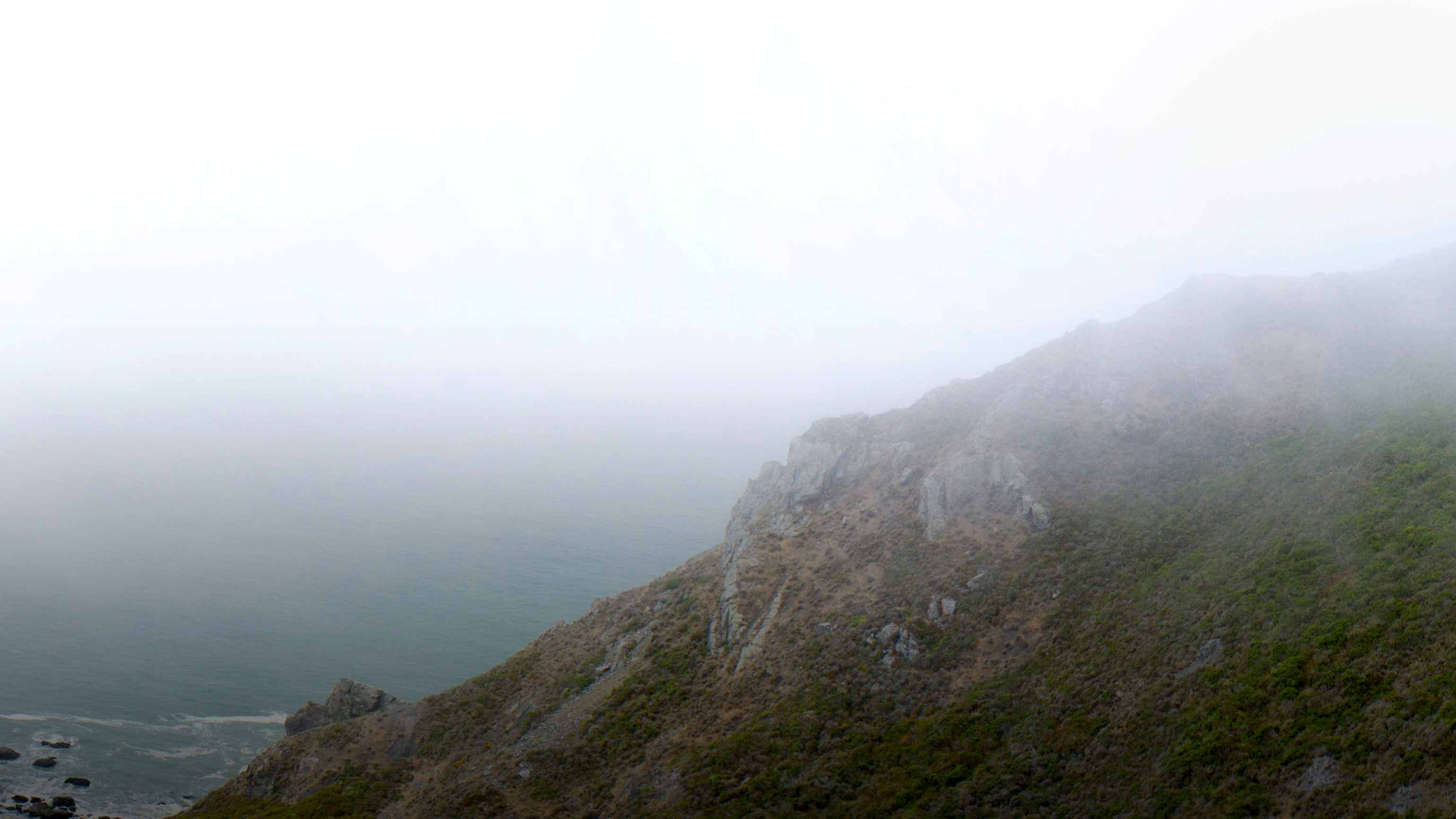 San Francisco matchmaker 