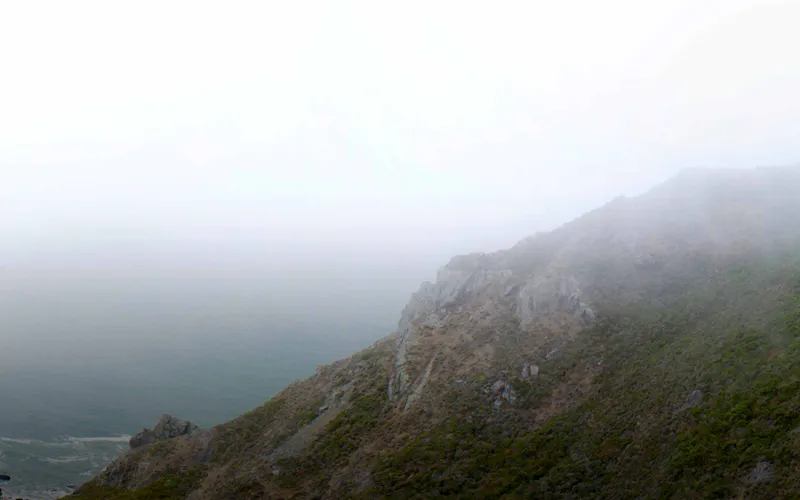 San Francisco matchmaker