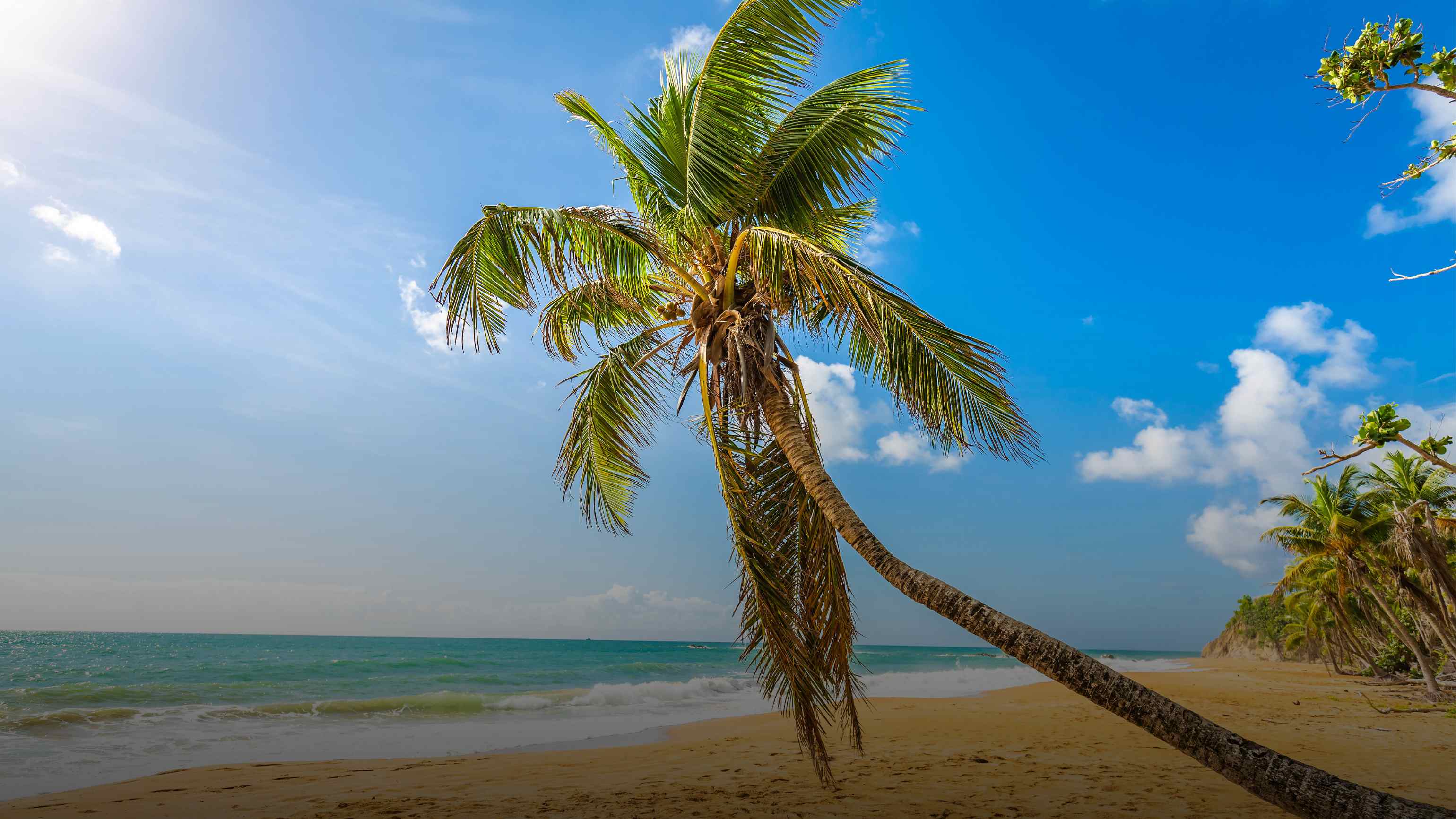 San Juan Puerto Rico matchmaking 