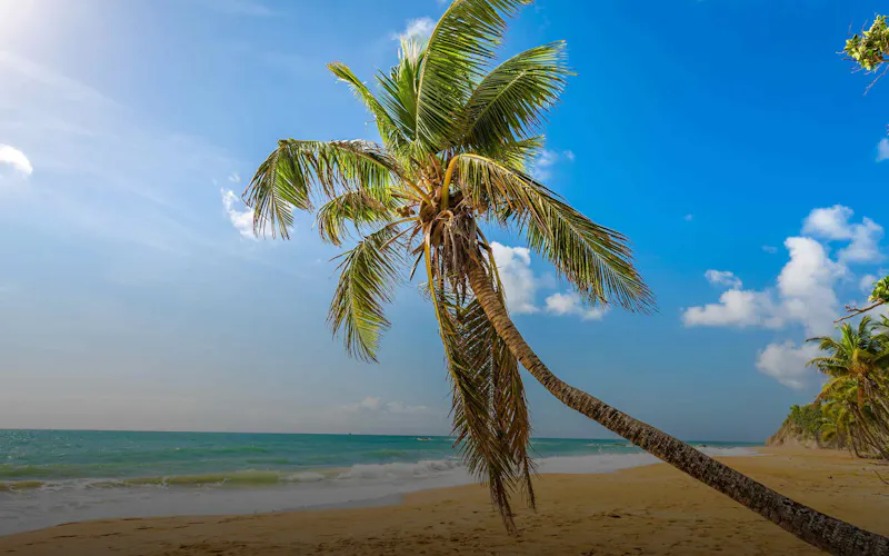 San Juan Puerto Rico matchmaking