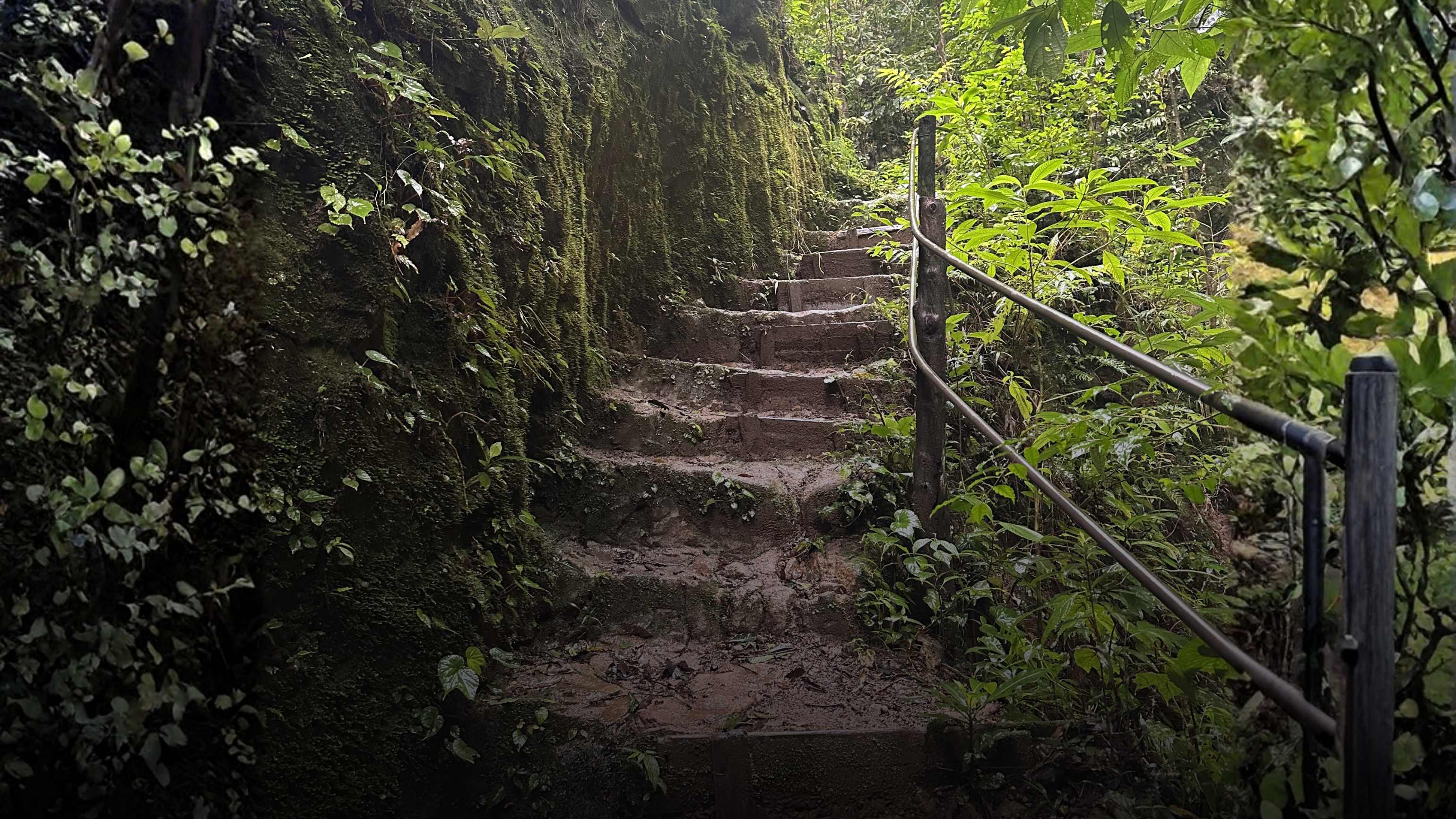 Section image