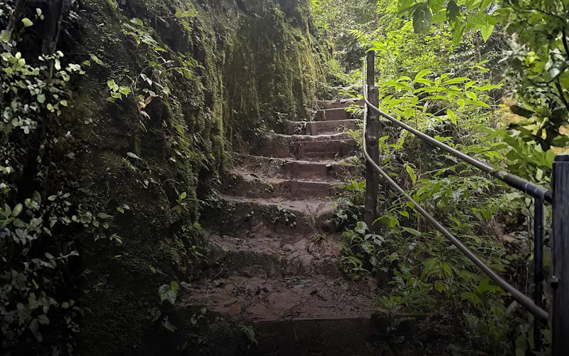 Section image