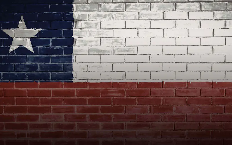 houston texas flag
