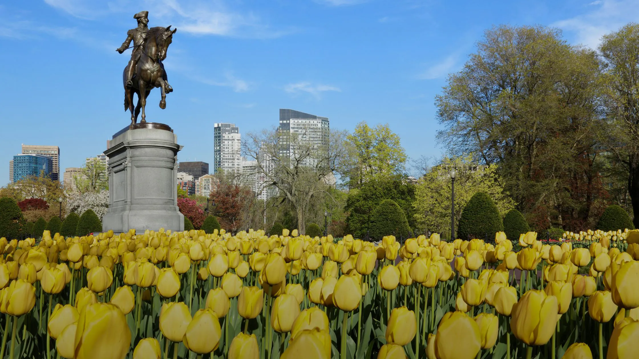 Boston Luxury Matchmaking Services