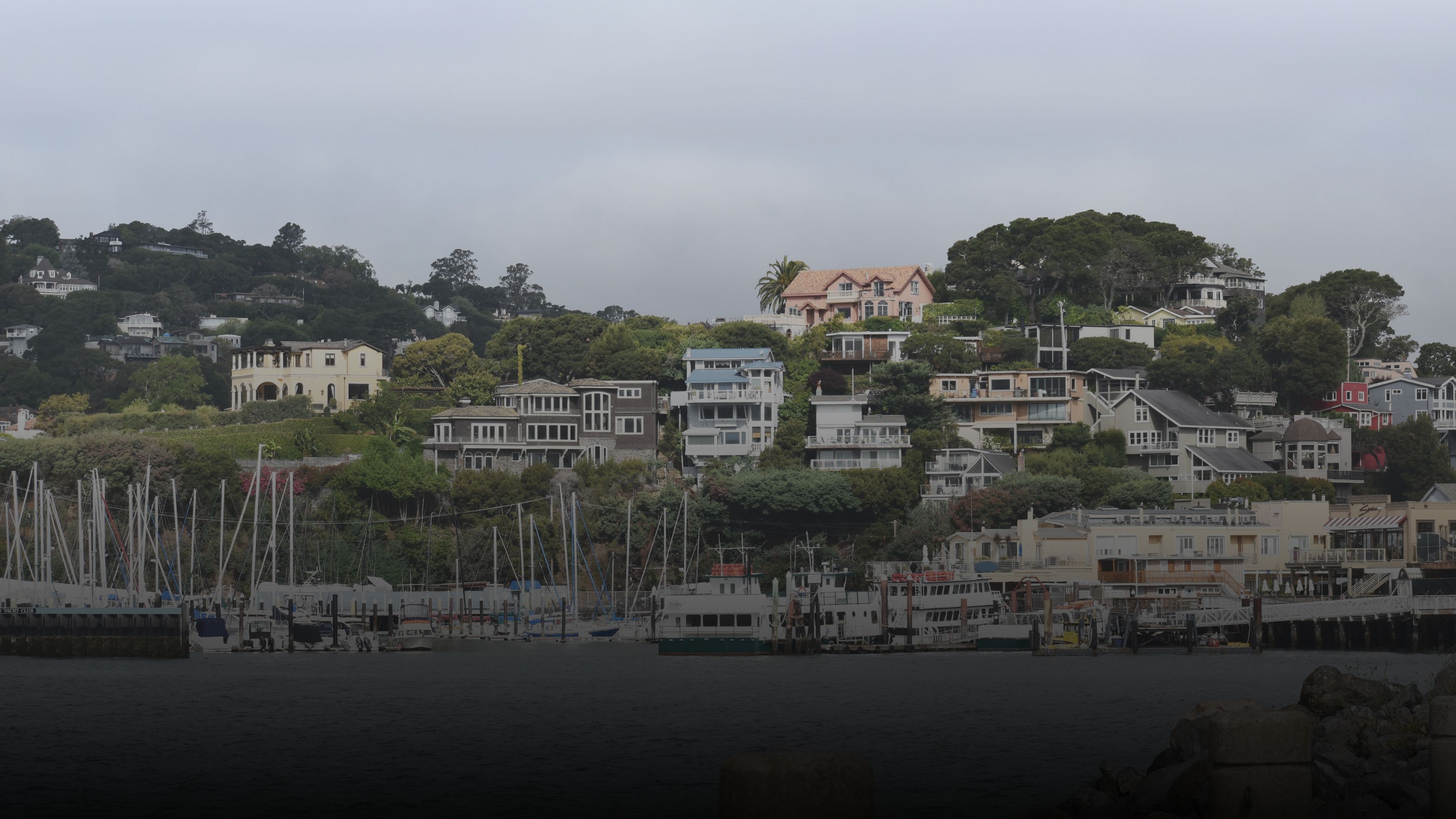 marin county dating by cinqe