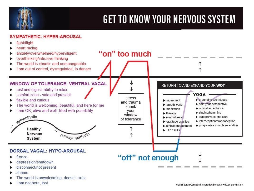 Build nervous system resilience
