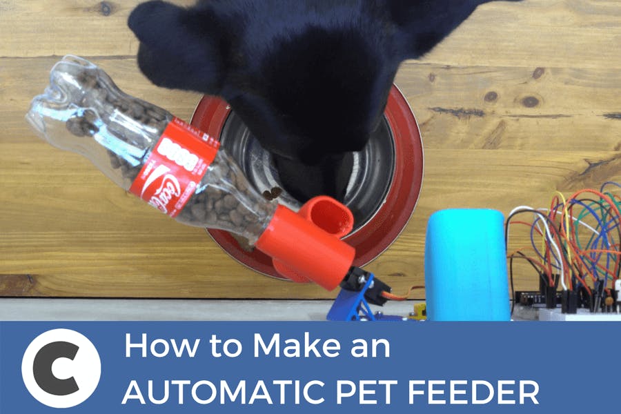 How to Make a DIY Automatic Dog Feeder