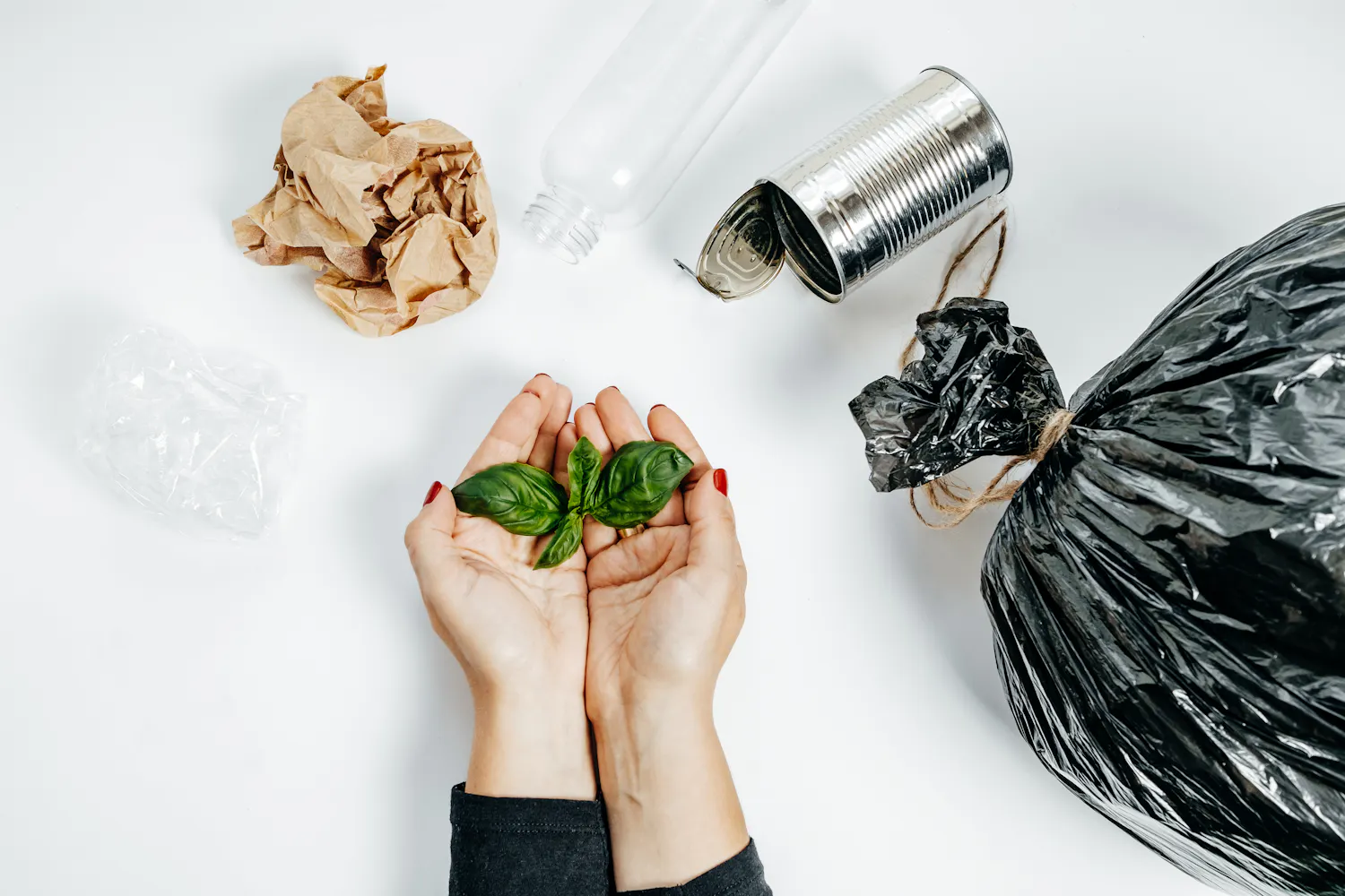 Deux mains qui tiennent une pousse de basilic avec des déchets autour sur fond blanc.