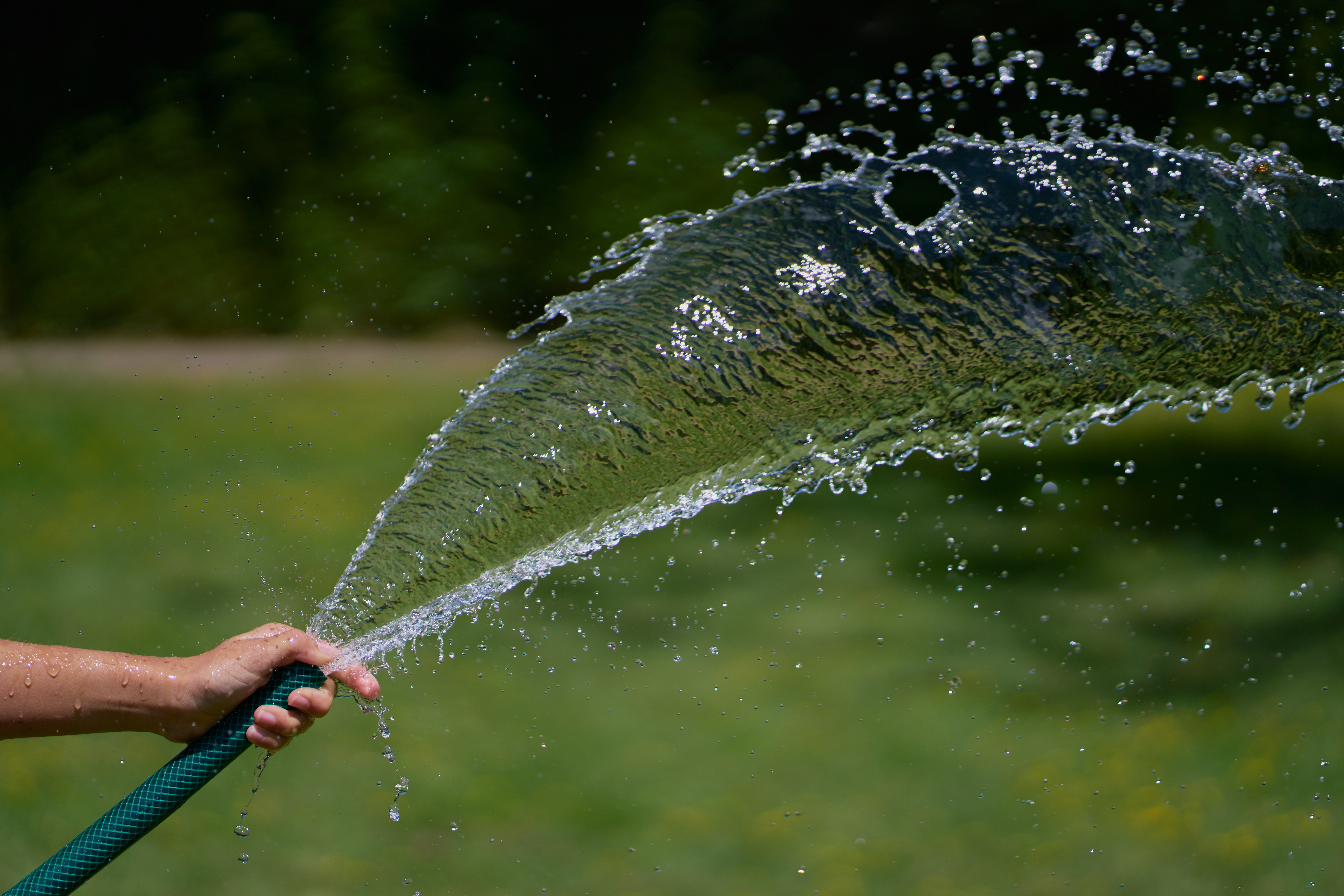 Main qui arrose quelque chose avec un tuyau d'arrosage vert dans un jardin.