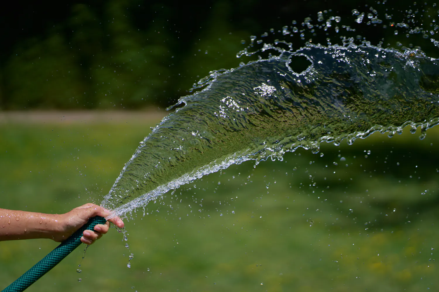 Main qui arrose quelque chose avec un tuyau d'arrosage vert dans un jardin.