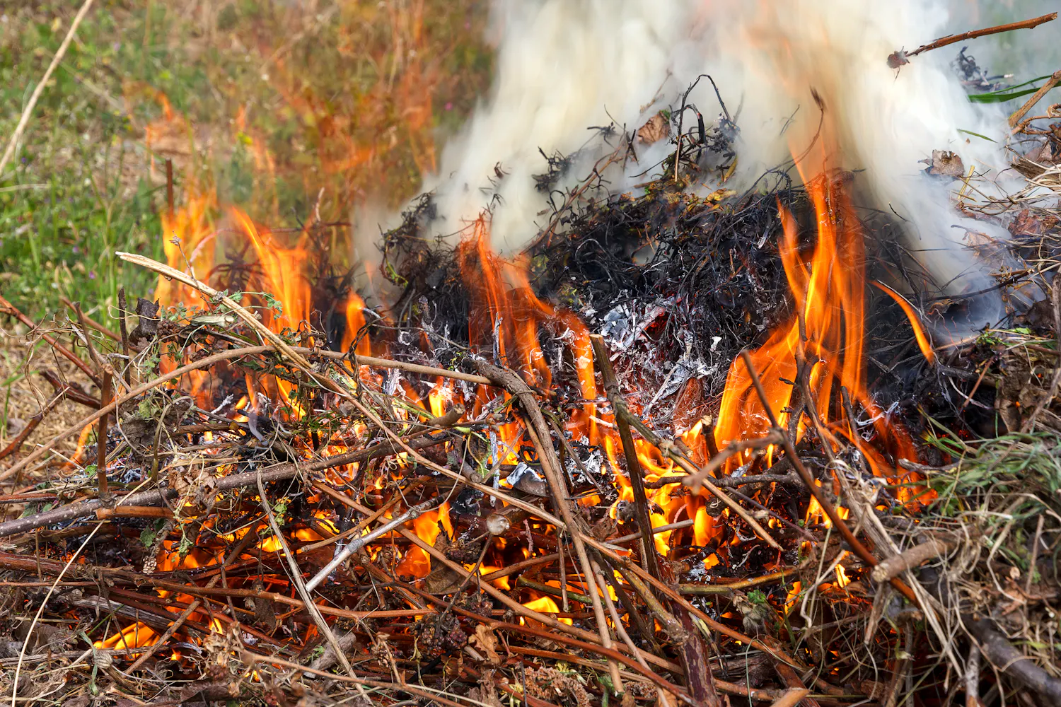 Feu composé de branches d'arbre au milieu d'un champ.