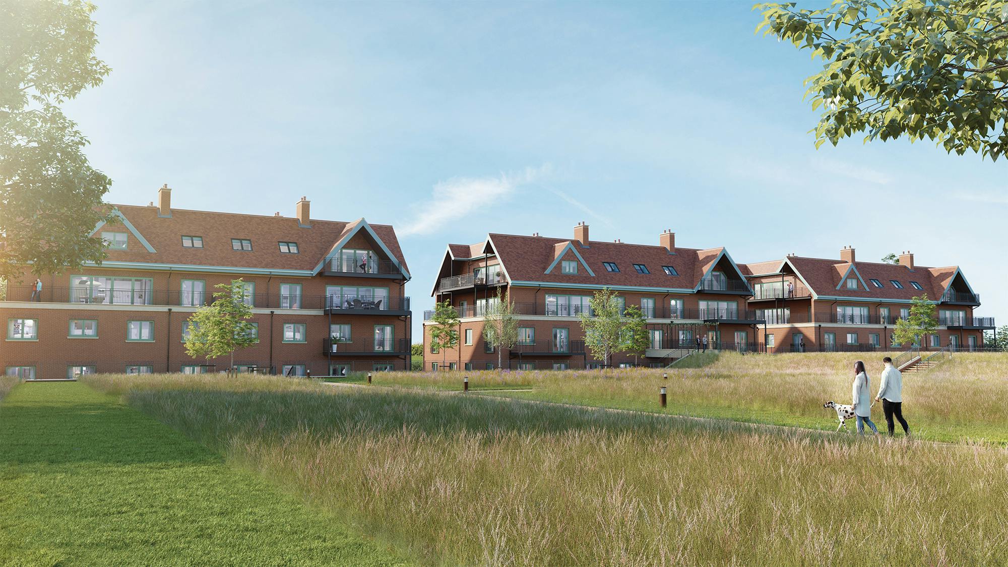 Caption: a group of people walking through a grass covered field