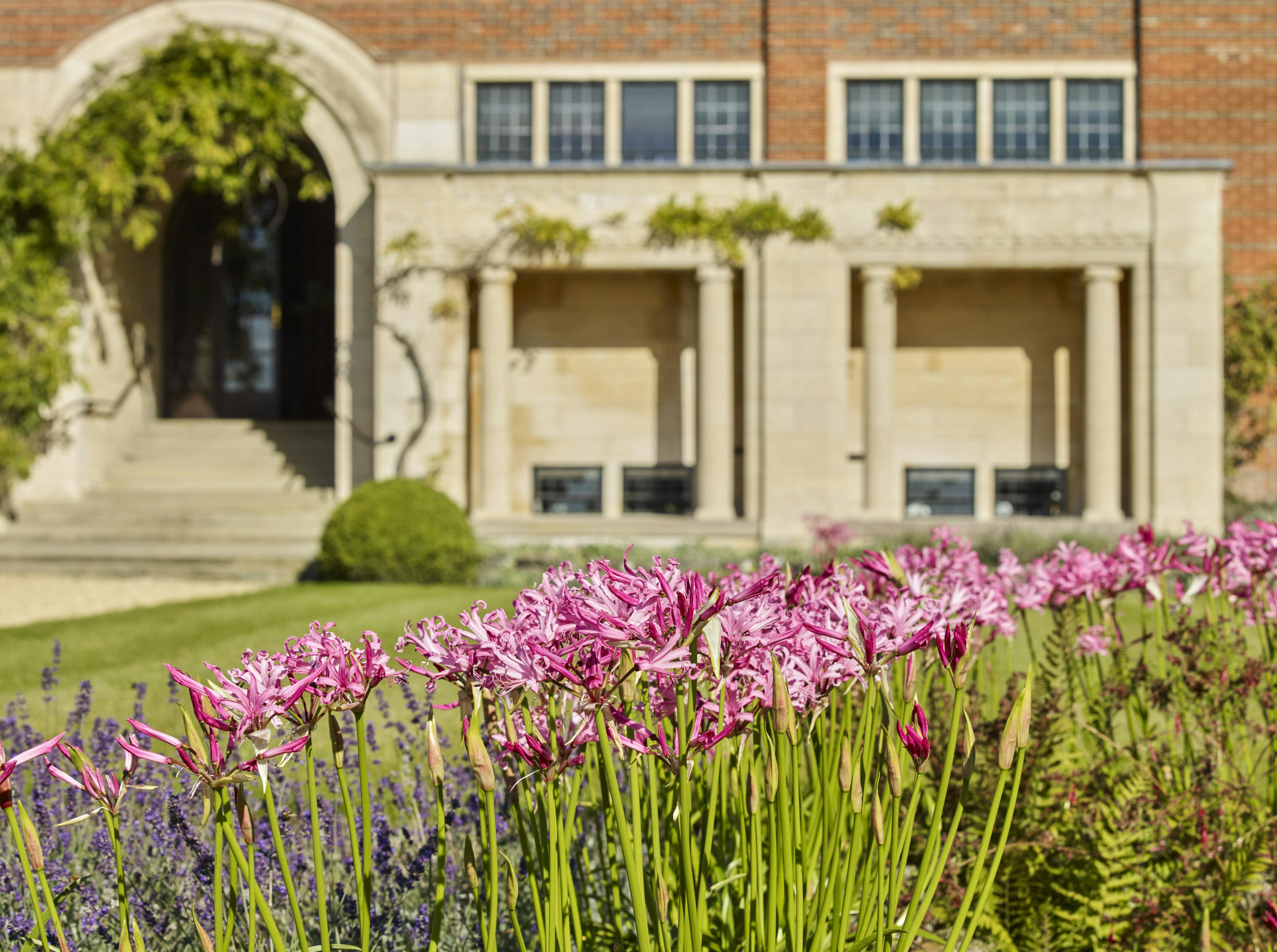 Caption: purple flowers in a garden in front of a building