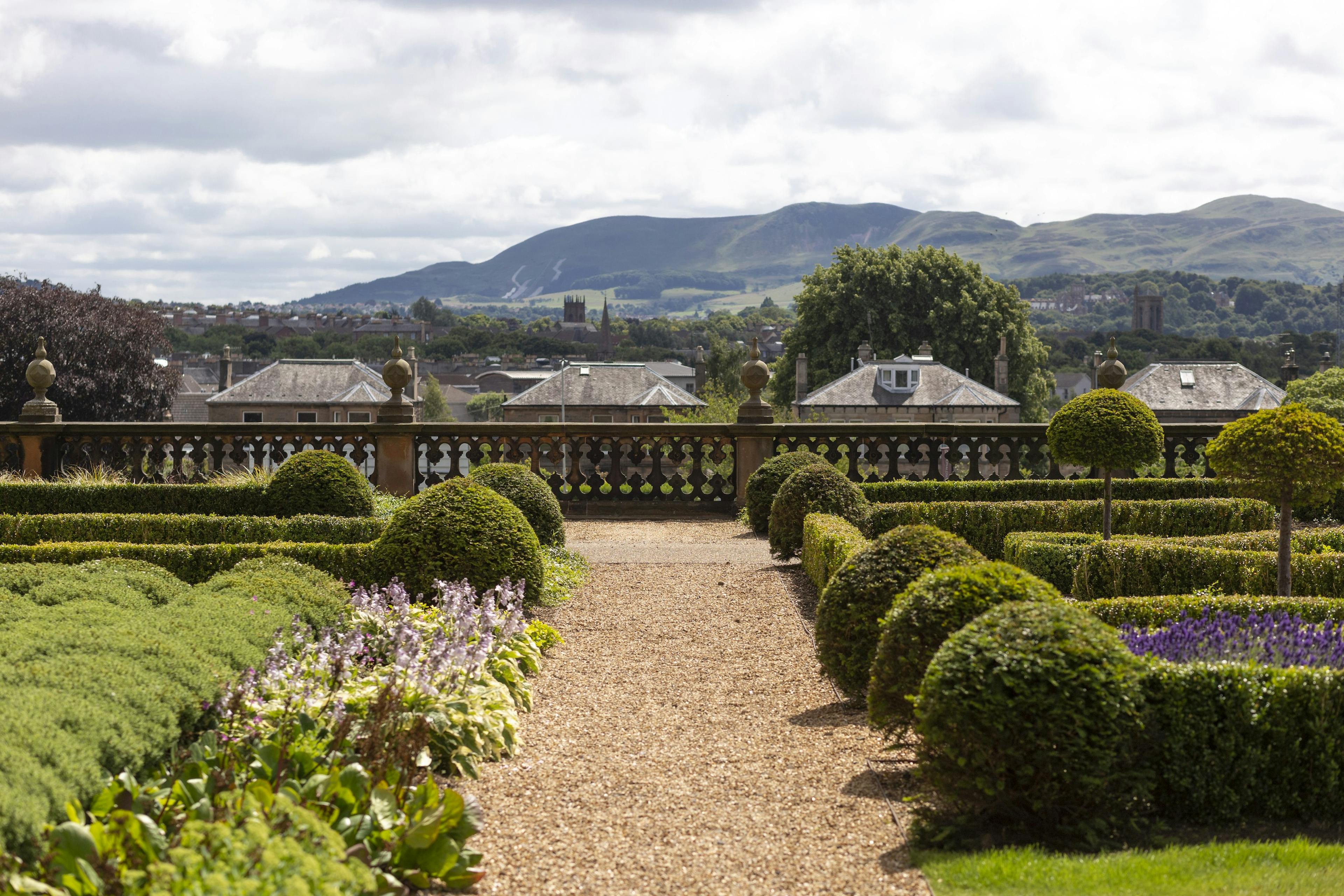 Caption: a view of a garden with a lot of bushes