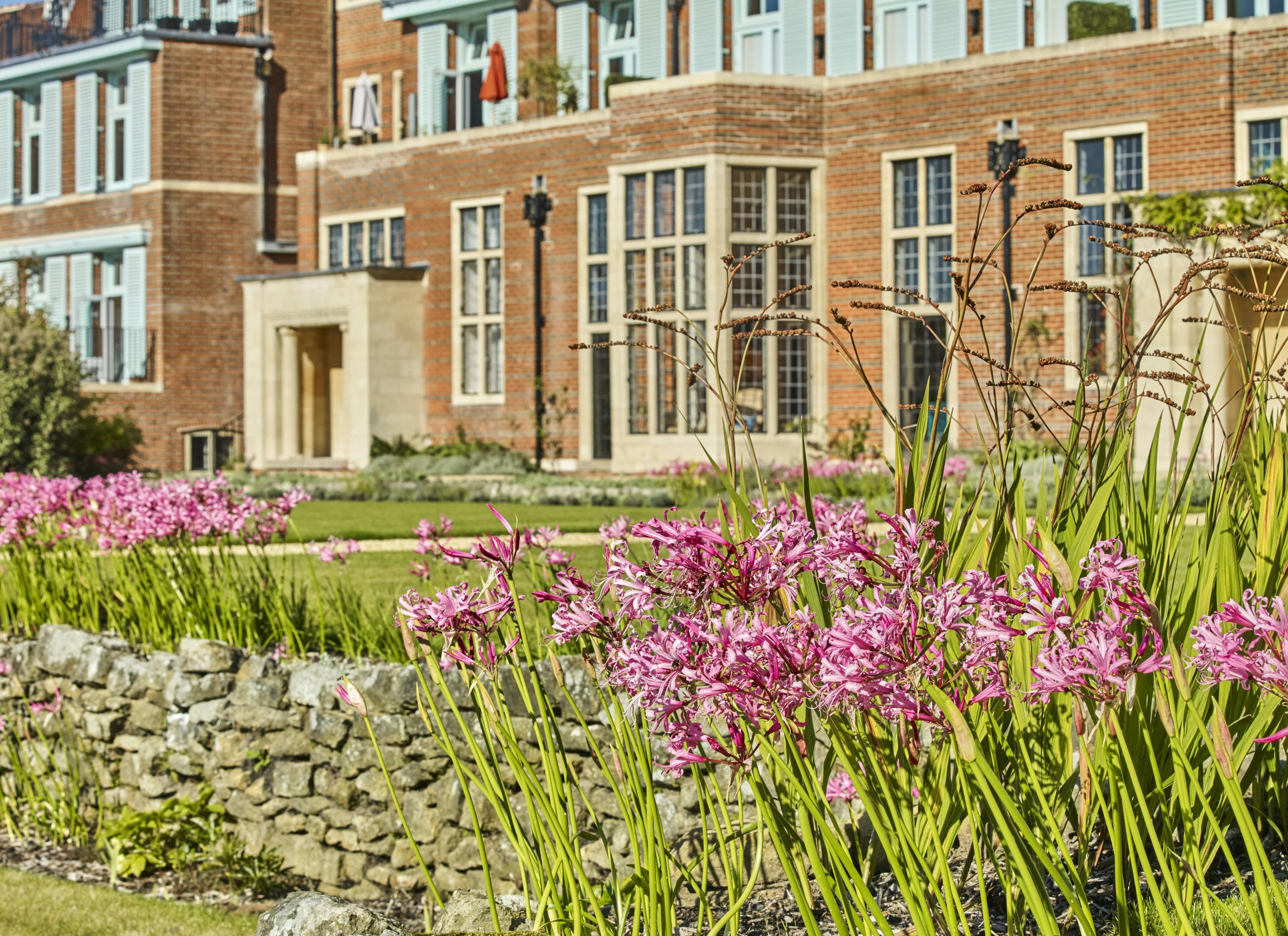 Caption: purple flowers in a garden in front of a brick building