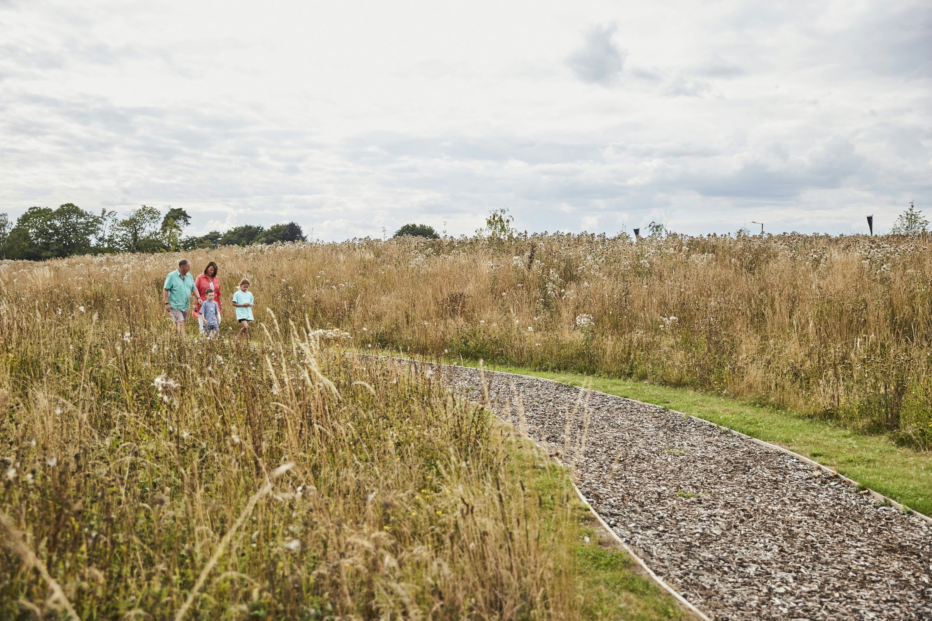 Grandparents with grandchildren walking on a manmade path through grassland.