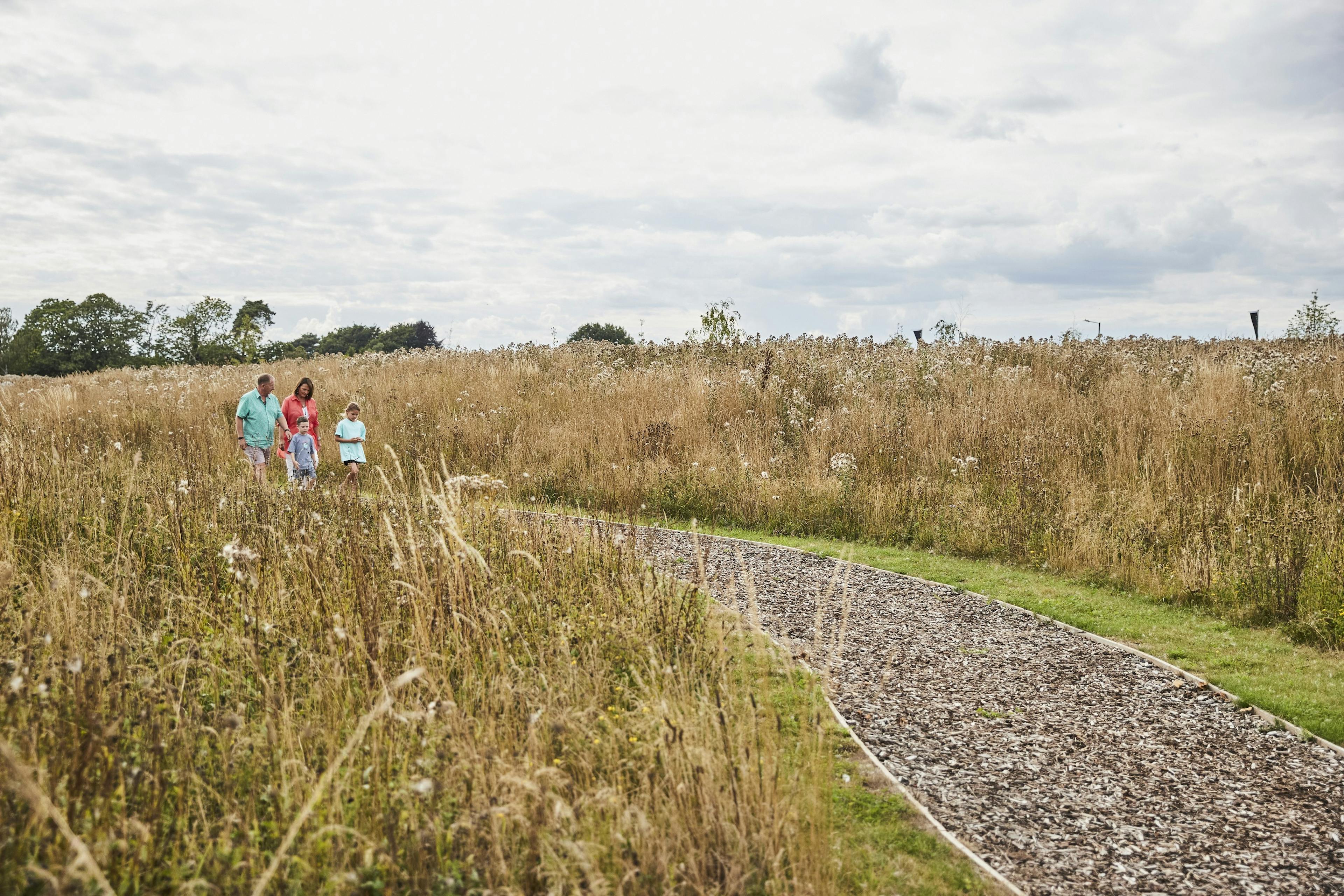Grandparents with grandchildren walking on a manmade path through grassland.