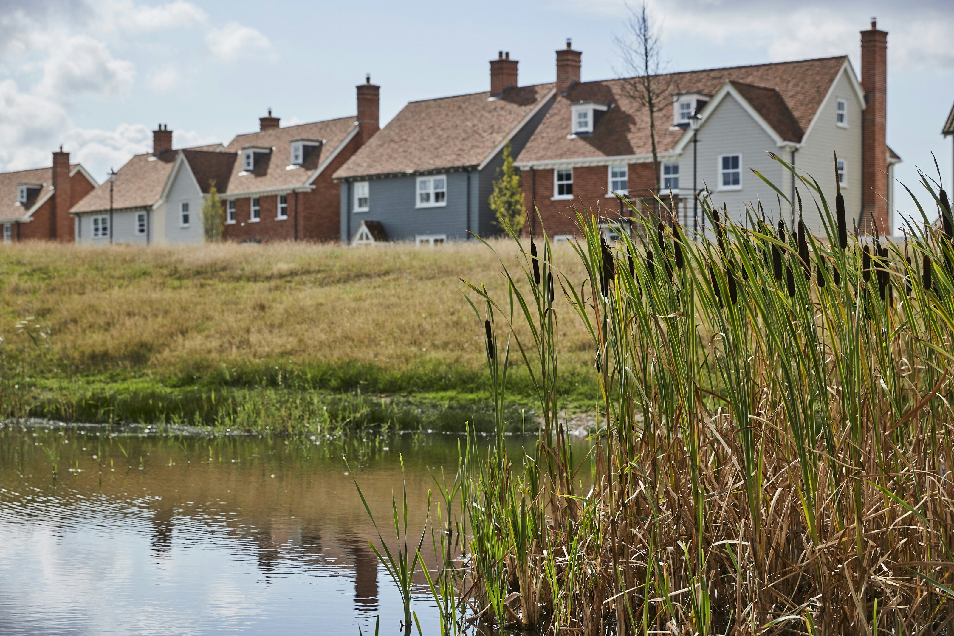 A view across a pond with a row of houses in the background