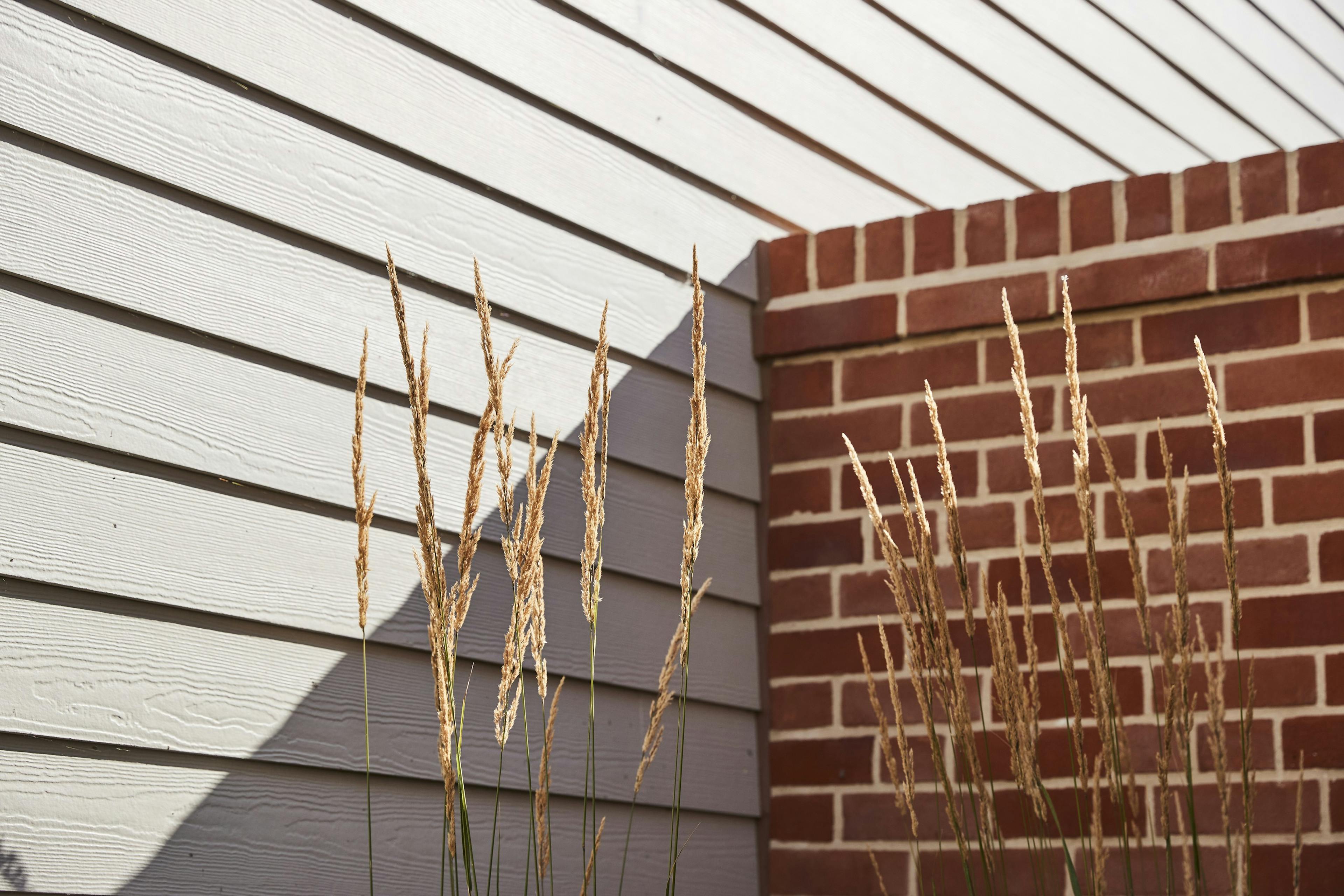 Long grass in the for-ground with a wooden cladded adjacent to a brick wall