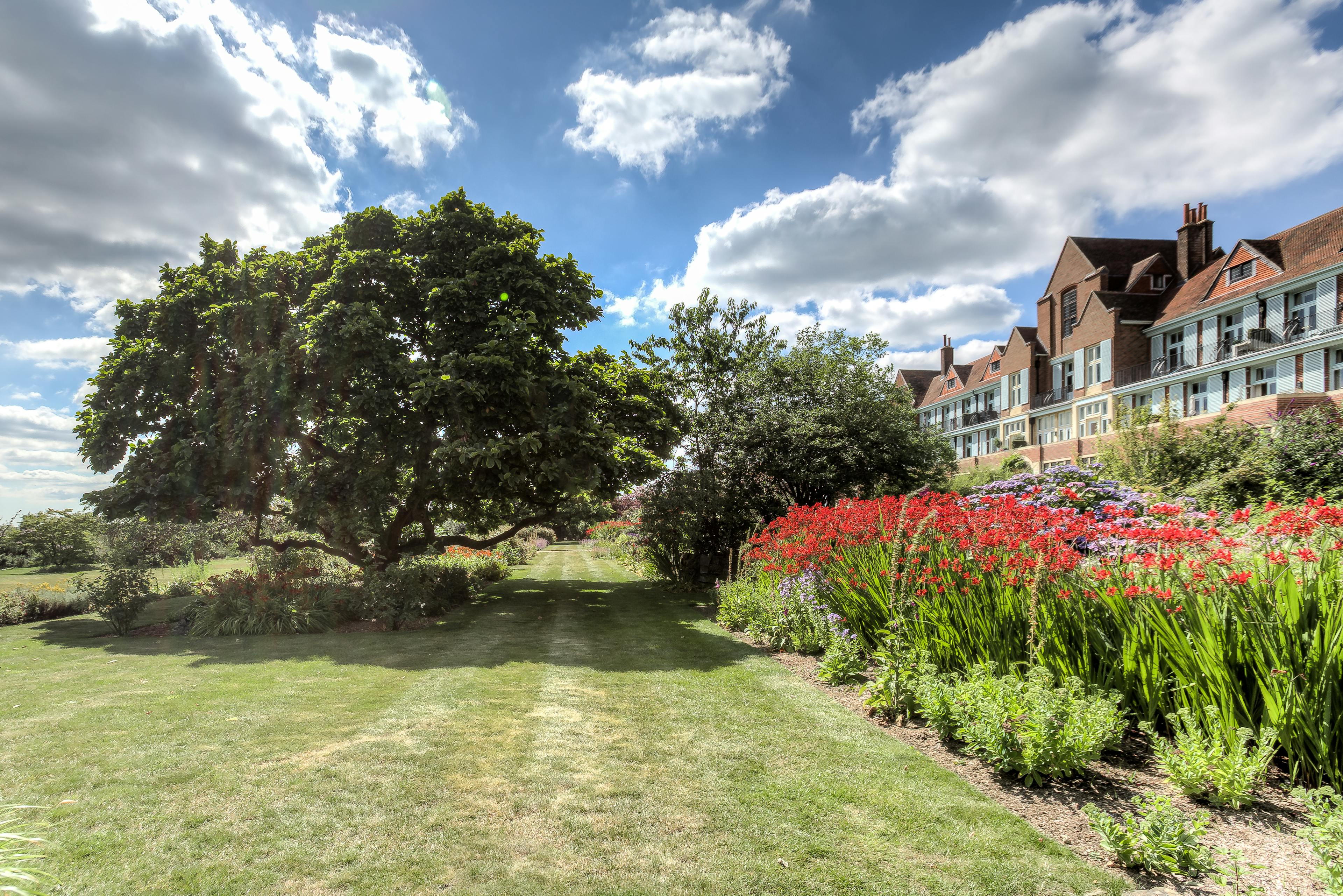 Caption: a lush green field filled with lots of red flowers