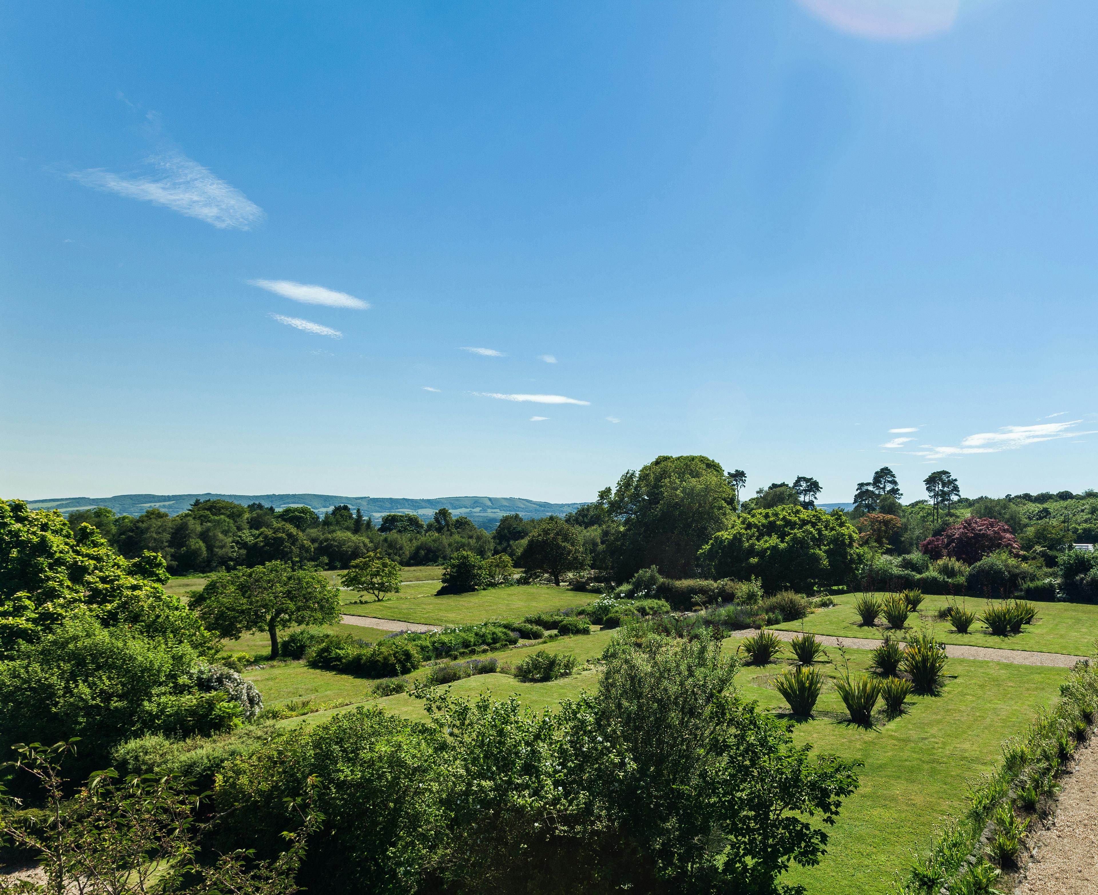 Caption: a lush green field surrounded by trees and bushes