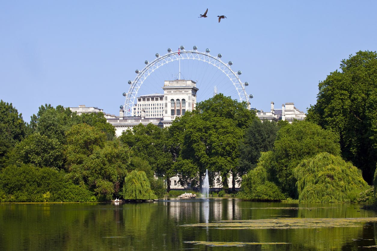 Caption: a ferris wheel is in the distance over a lake