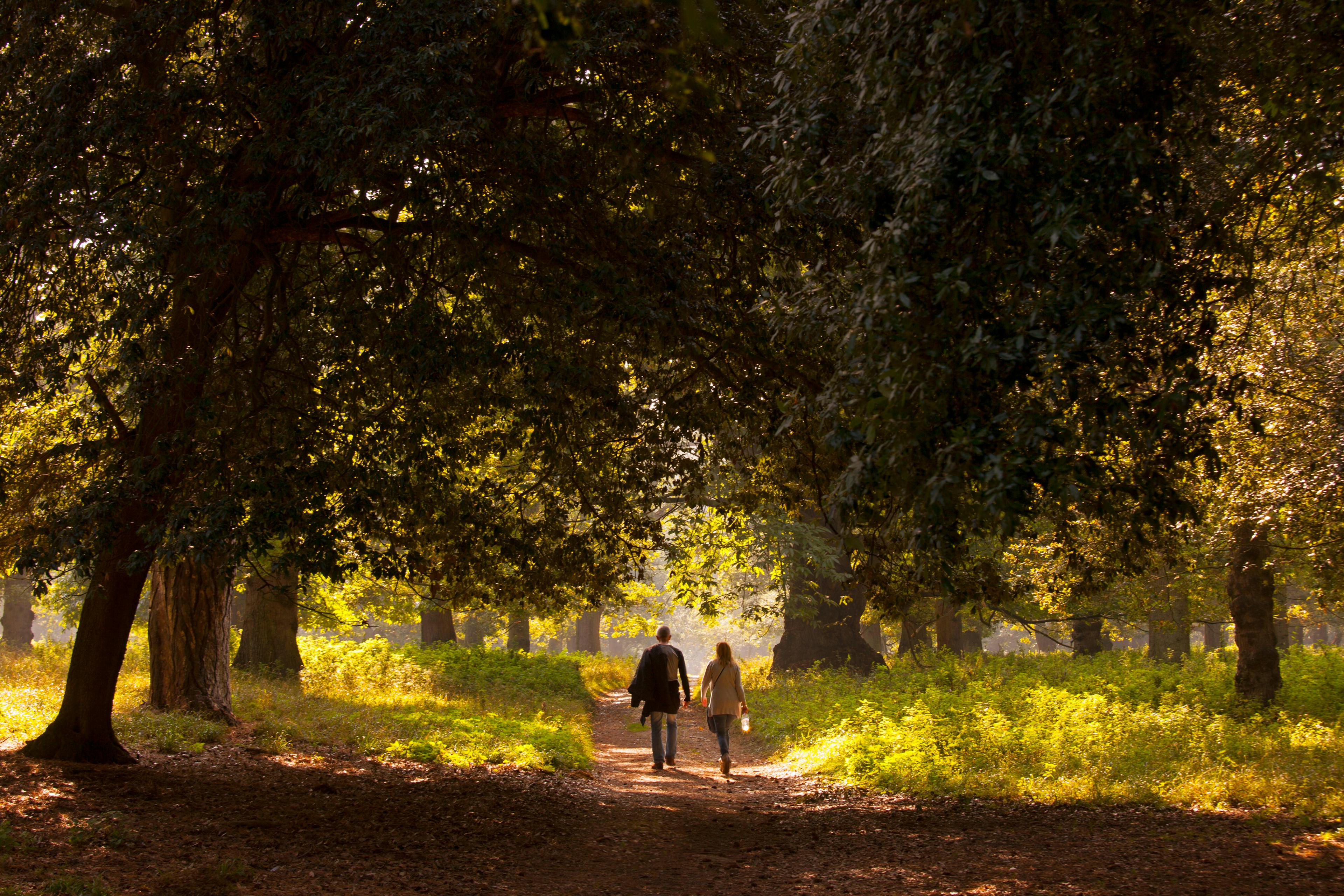 Caption: a couple of people walking down a dirt road