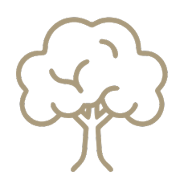 Caption: a drawing of a tree on a green background