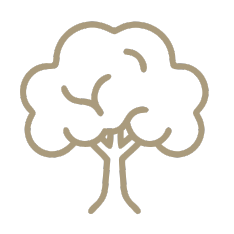 Caption: a drawing of a tree on a green background