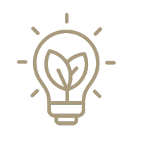 Caption: a light bulb with a plant inside of it