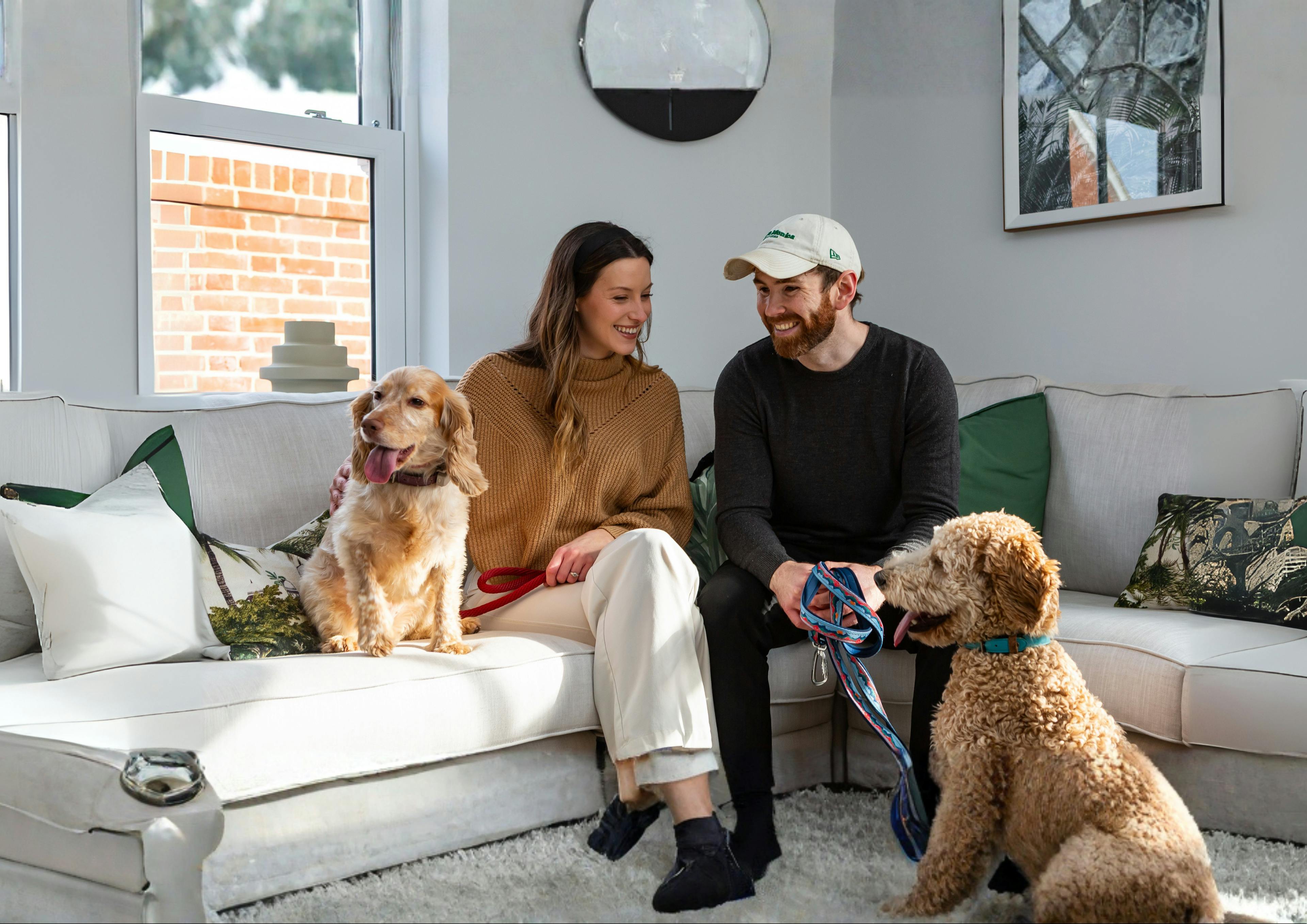 Caption: a man and woman sitting on a couch with two dogs
