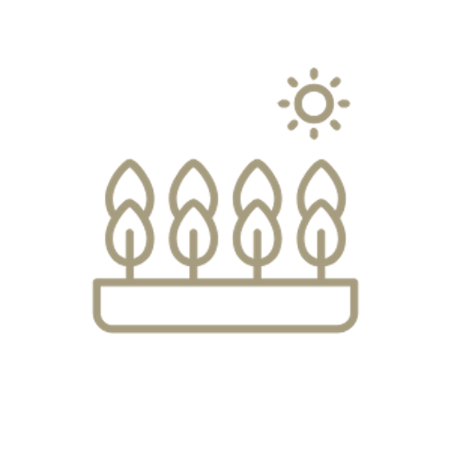 An icon showing trees and sunshine