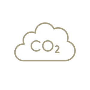 An icon of a cloud with CO2
