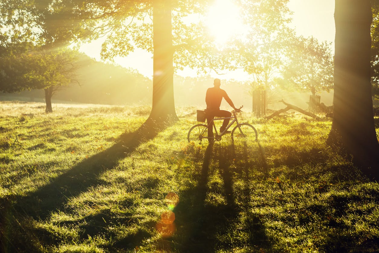 Caption: a man riding a bike through a lush green forest