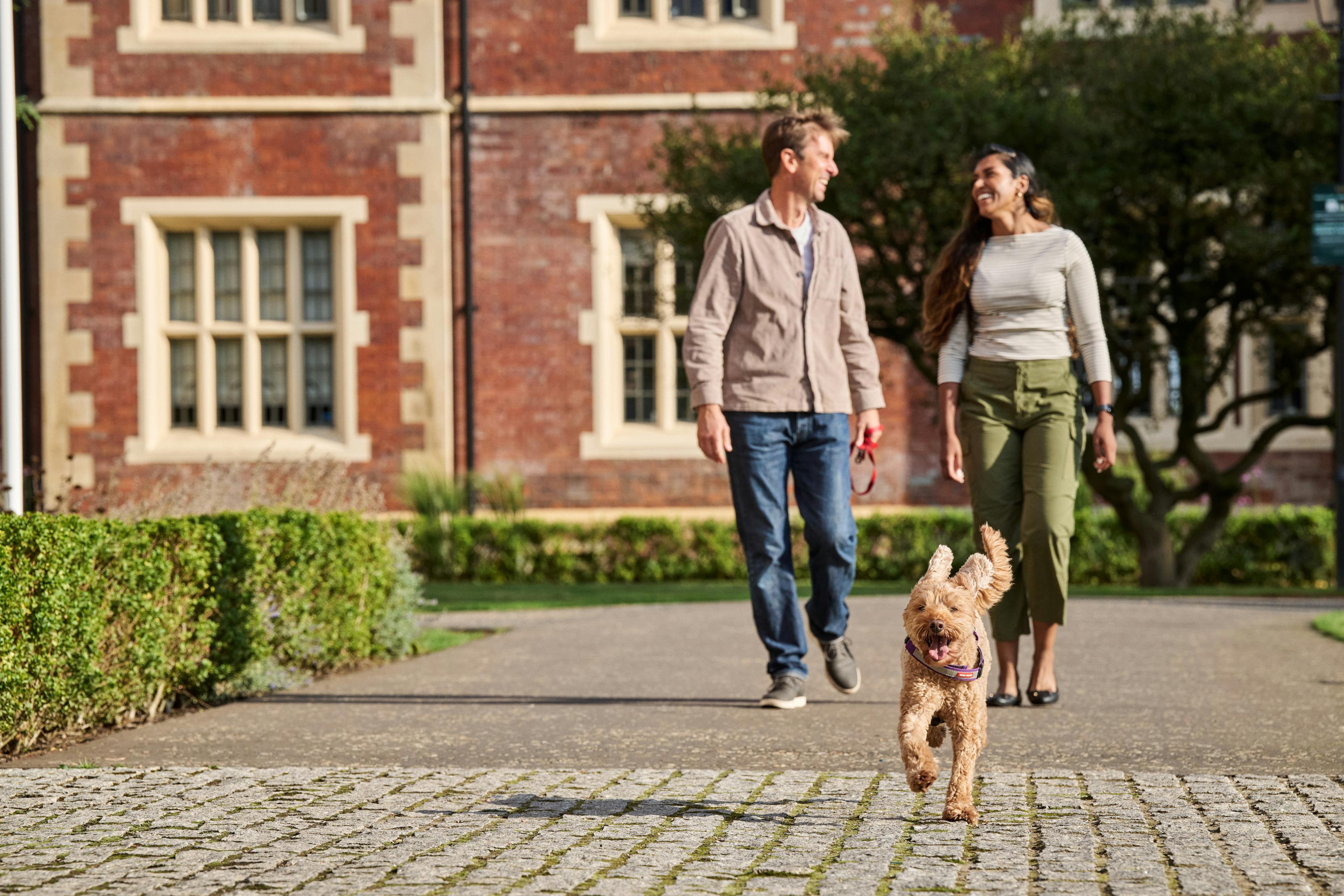 Caption: a man and woman walking a dog down a sidewalk