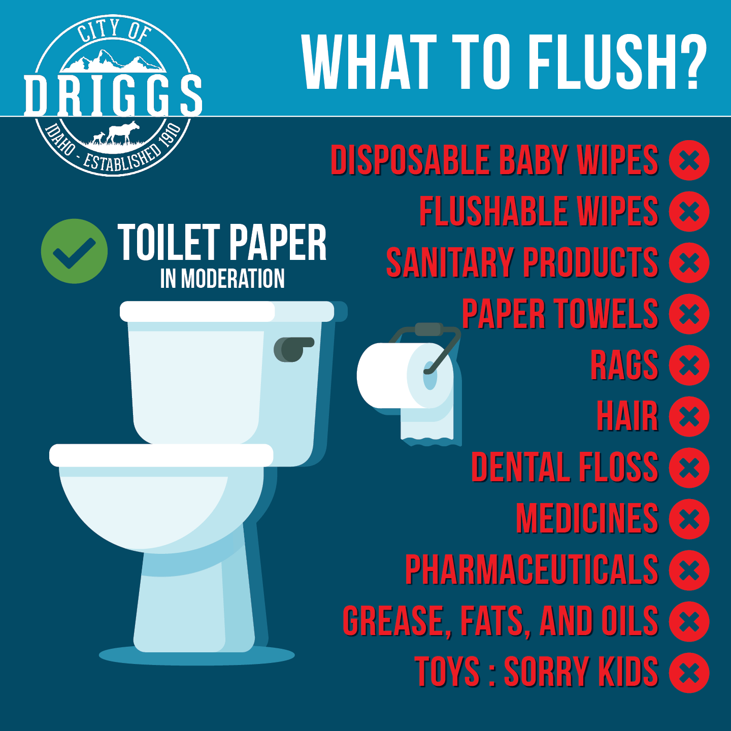 What to Flush graphic