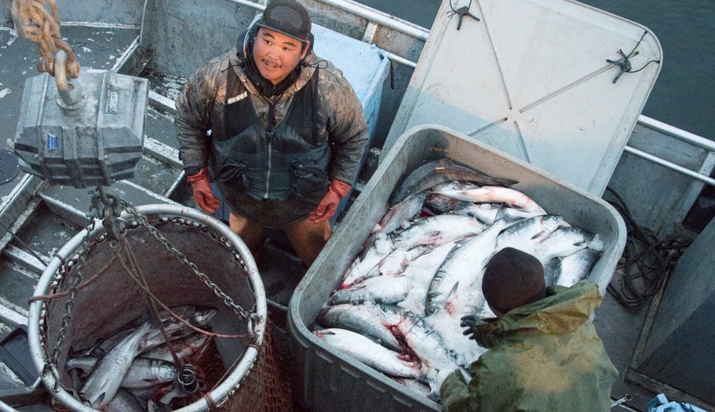 Fishpeople Featured Image