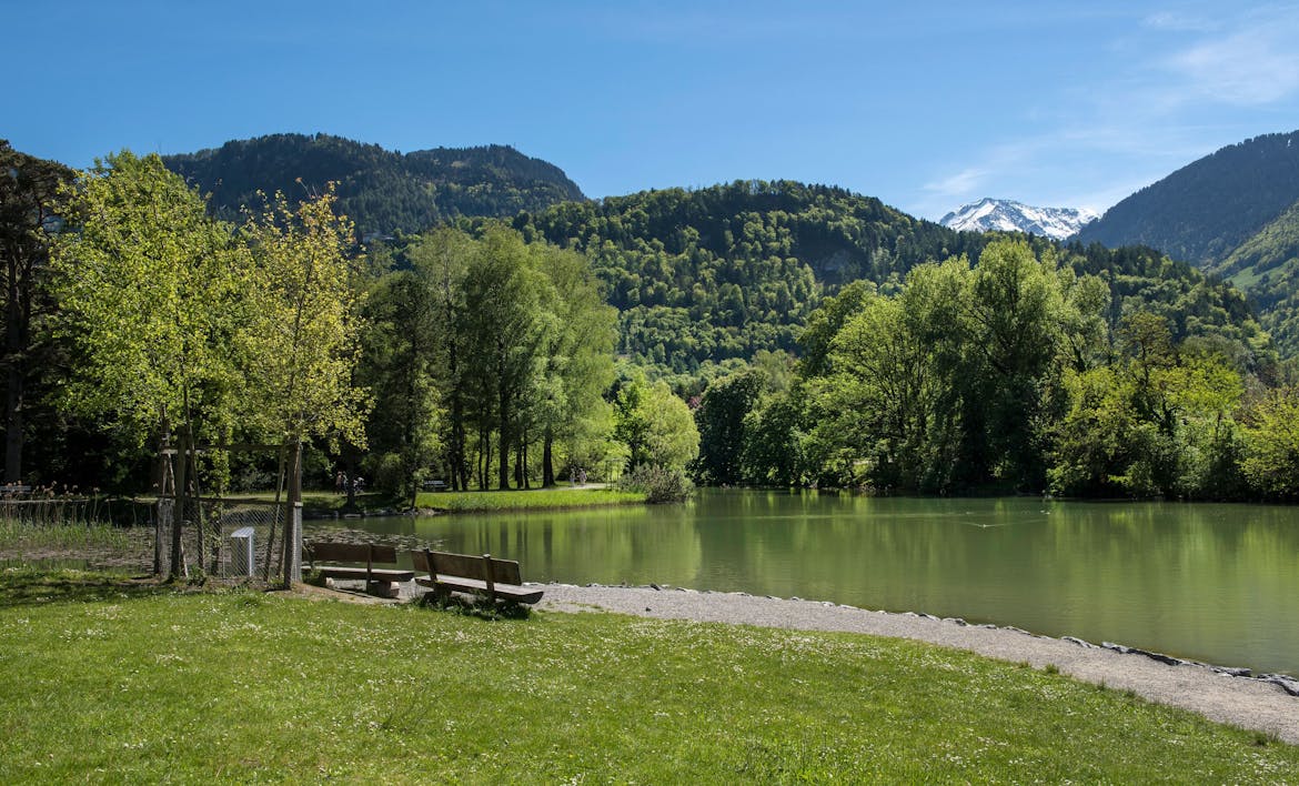 Giessen lake Bad Ragaz with two benches next to a walk way with lots of trees, hills in the background and some mountains visible too