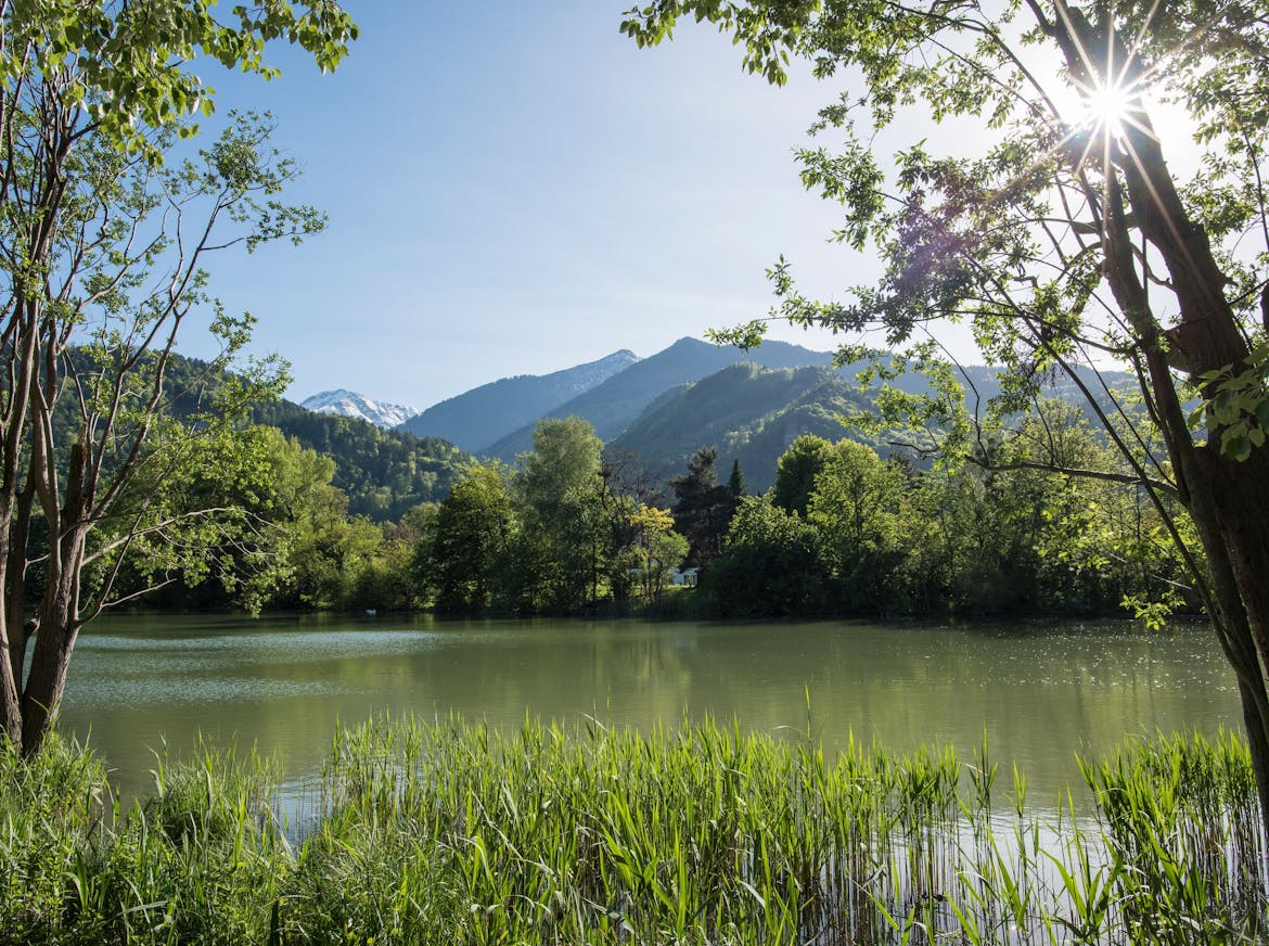 Giessen lake in Bad Ragaz, view from close to the lake with some trees on the side, mountains in the background with blue sky and sunshine