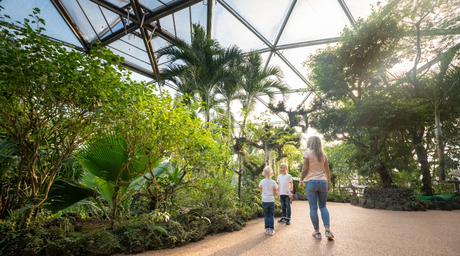 Frau mit zwei Kindern im Papiliorama Kerzers