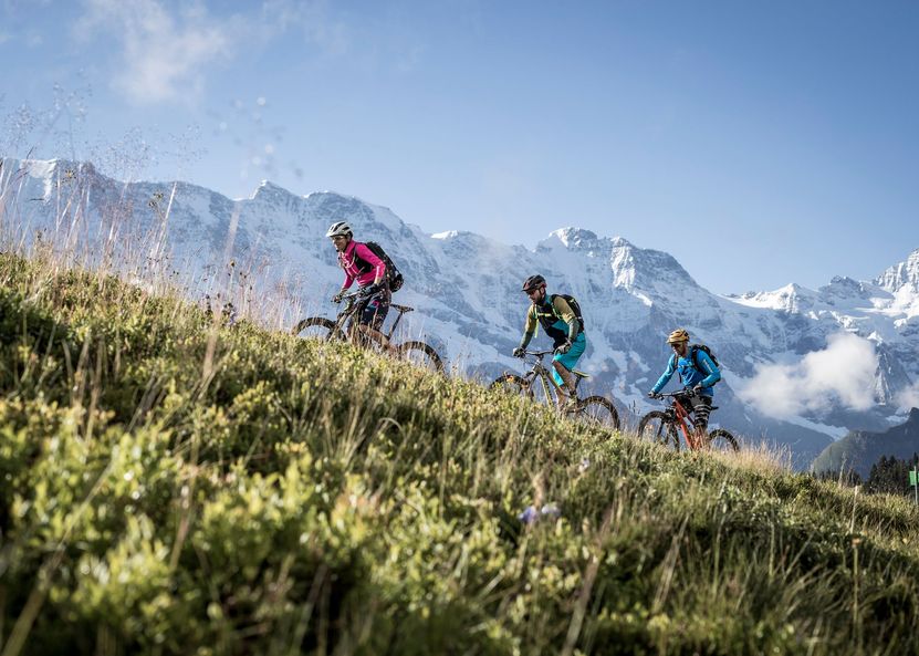 drei Mountainbiker auf einem Bergpfad bergauf mit einer Wiese im Vordergrund und schneebedeckten Bergen im Hintergrund