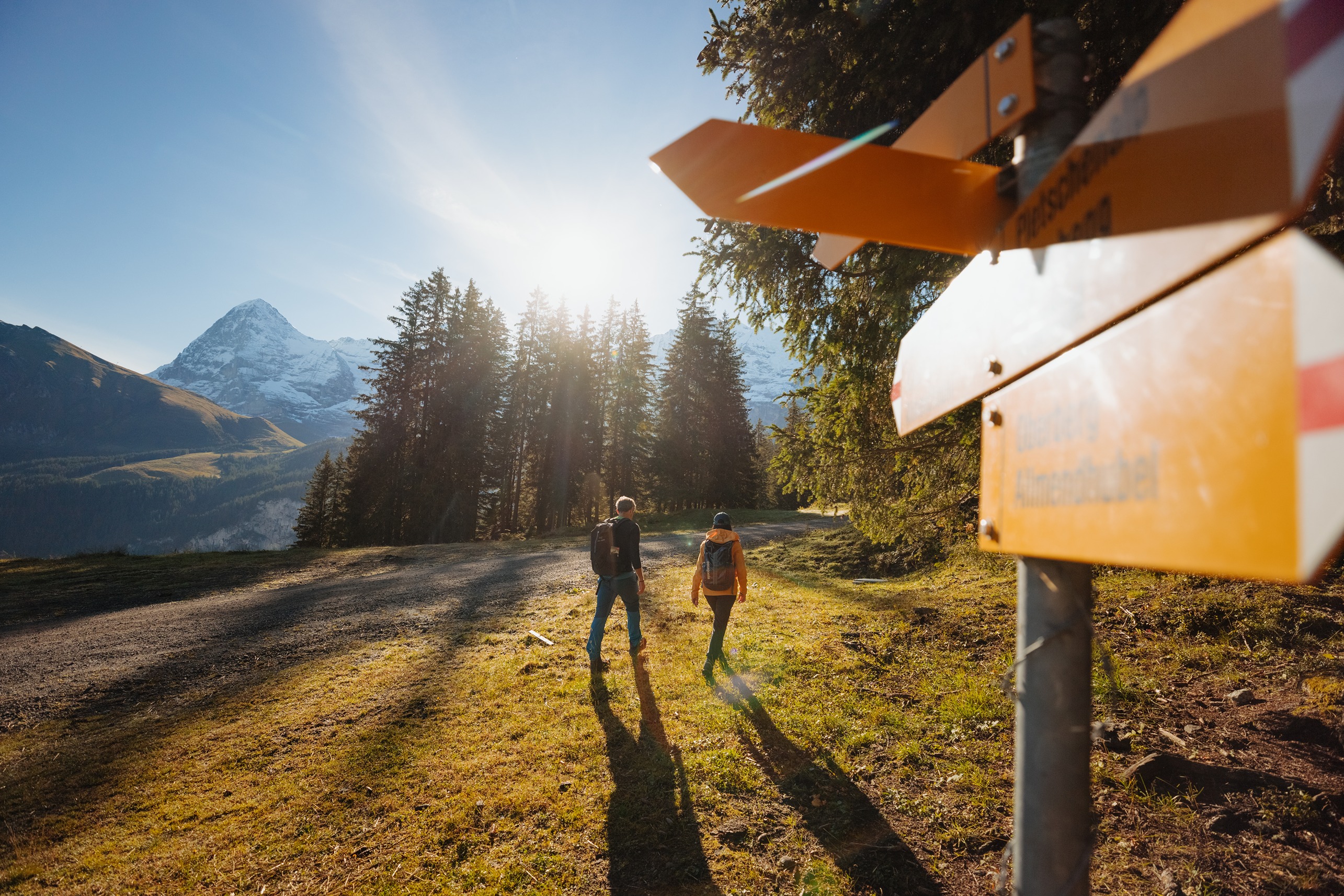 zwei Wanderer auf einer Bergwiese mit Eiger Mönch und Jungfrau im Hintergrund und Schweizer Wanderpfeilen an der Seite
