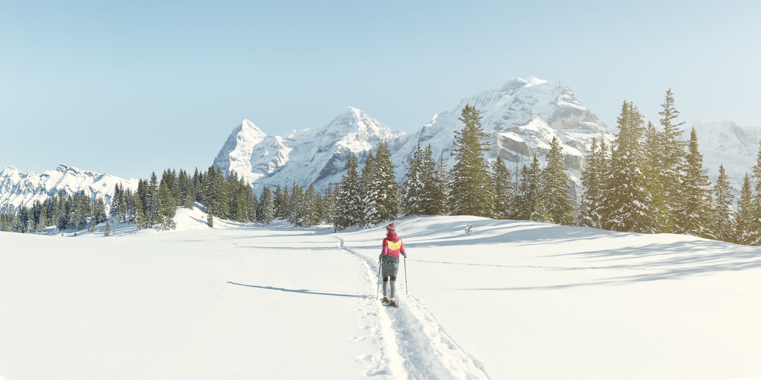 Schneeschuhwanderung auf dem Chänelegg Trail in verschneiter Landschaft, Wald im Hintergrund sowie Eiger, Mönch und Jungfrau
