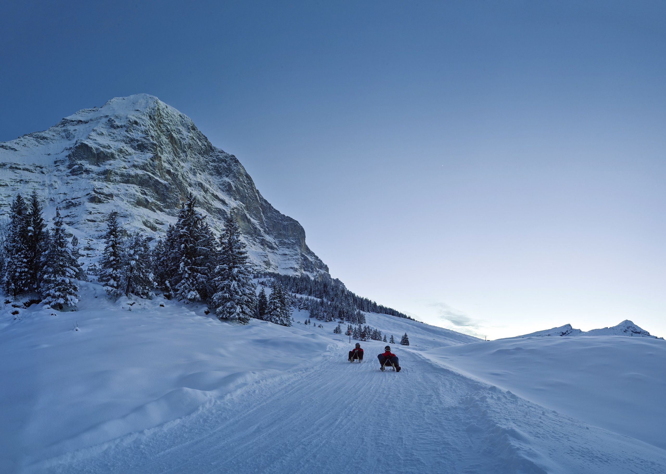 zwei Personen beim Schlitteln auf dem Eiger Run in Winterlandschaft